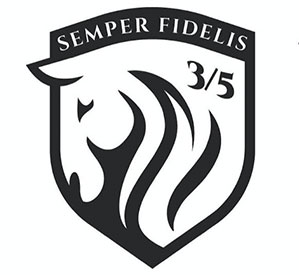 Team Darkhorse Batallion